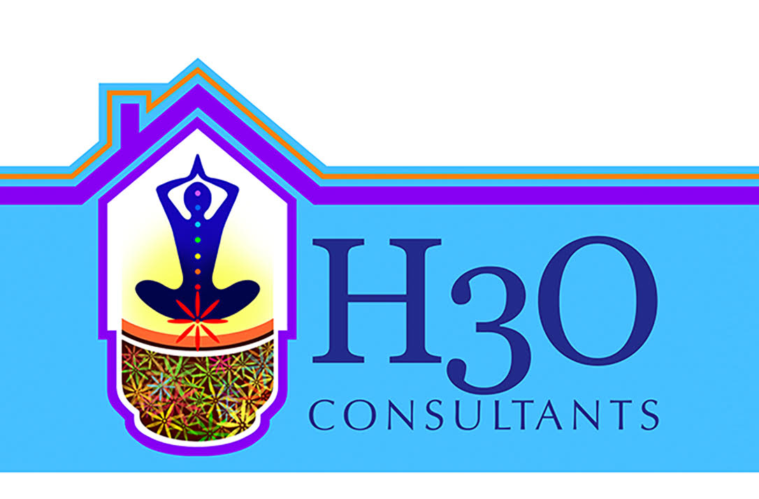 H3O Consultants